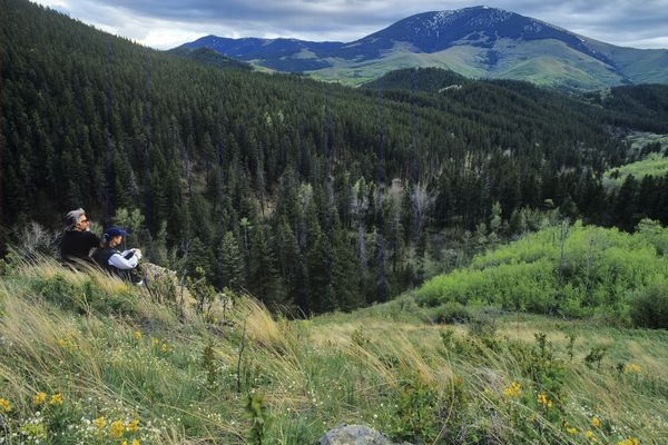 Highwood, Montana