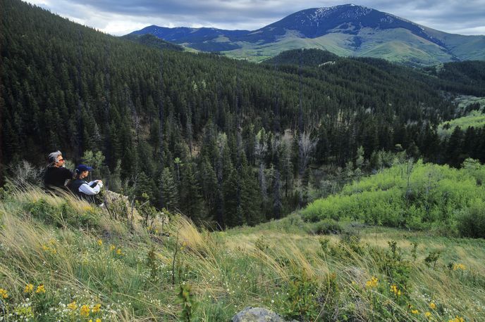 Highwoods Mountain Loop