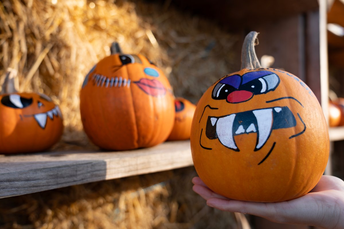 Handheld carved pumpkin with a painted monster face next to other painted pumpkins on a wooden shelf at a fall display in Montana