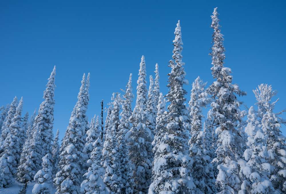 What to Know About the Largest County-Owned Park in the U.S. 