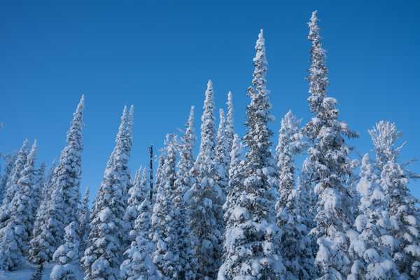 What to Know About the Largest County-Owned Park in the U.S. 