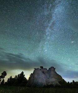 Dark Skies And Wildlife
