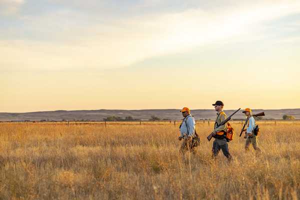 Outfitters & Guides