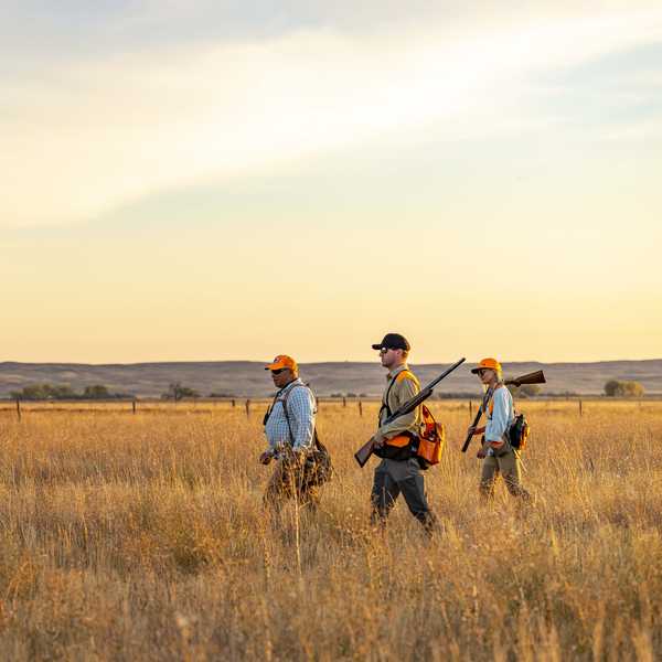 Hikers with backpacks walk through golden prairie grass at sunset in Montana