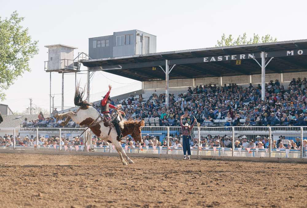 Last Best Rodeos Are in Montana