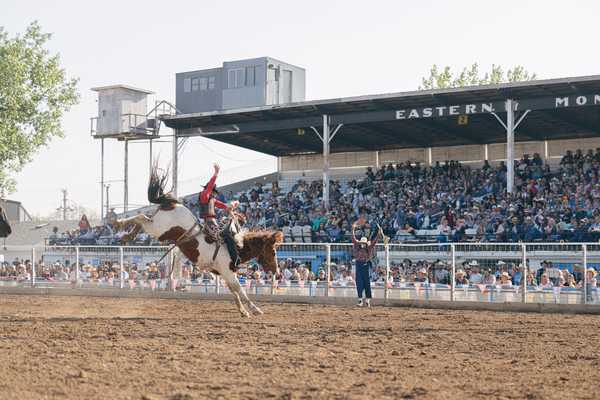 Last Best Rodeos Are in Montana
