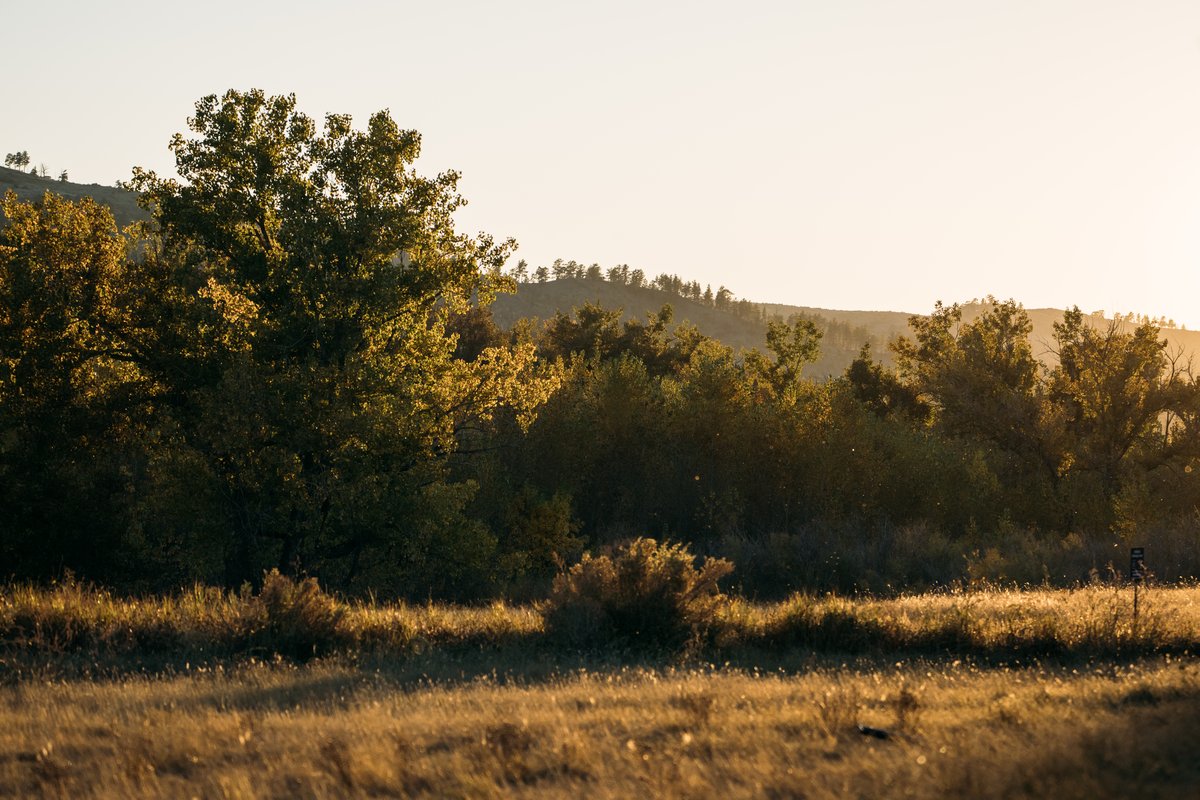 Sunlit hillside and meadow with trees along a Montana valley at dusk