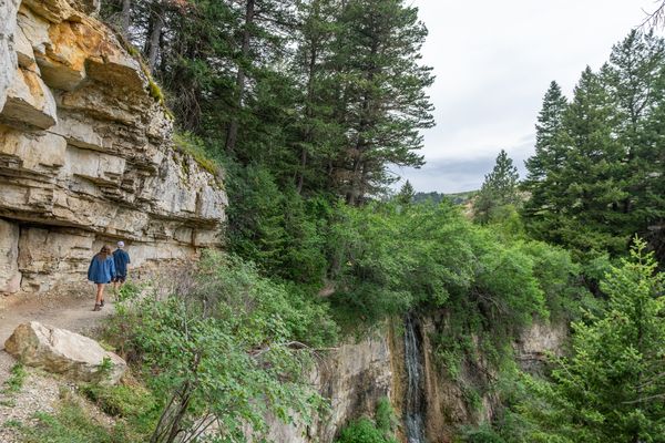Person hiking along a rocky cliff trail overlooking a forested river canyon in Montana