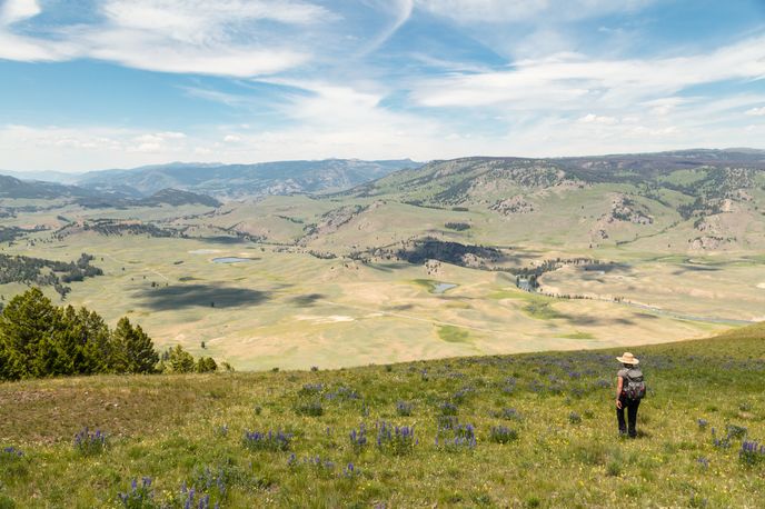 Hiker standing on a grassy overlook with sweeping valley and mountain views in Montana