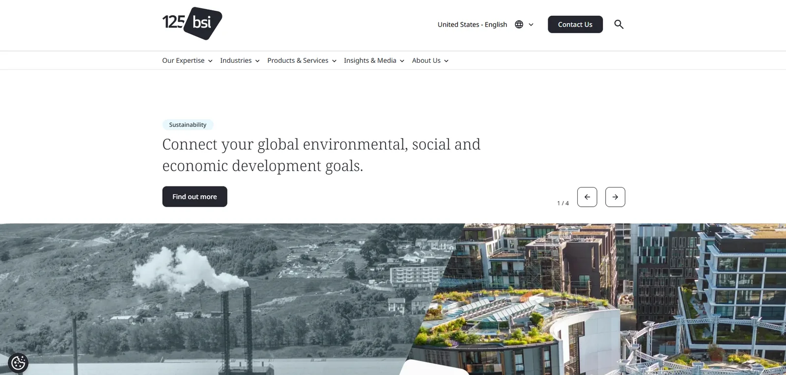 BSI homepage