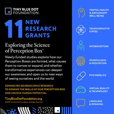 Science of Perception Box Request for Proposals
