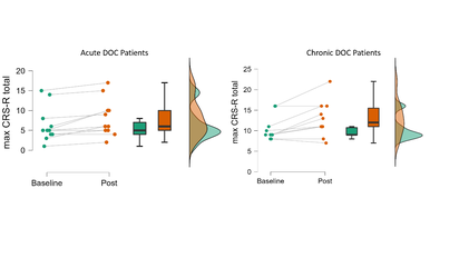 Figure 1. Clinical responsiveness (max CRS-R total score) at baseline and following thalamic LIFU in the Acute and Chronic arms of our first-in-human clinical trial. Tiny Blue Dot Foundation | DOC Patients Graph