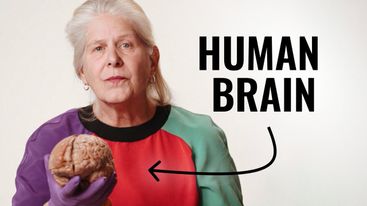 Expand Your Perception, Change Your Life | Dr. Jill Bolte Taylor