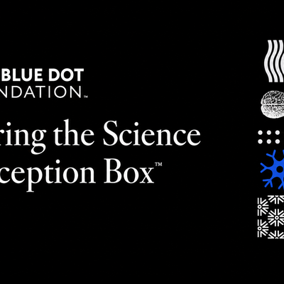 Exploring thte Science of Perception Box