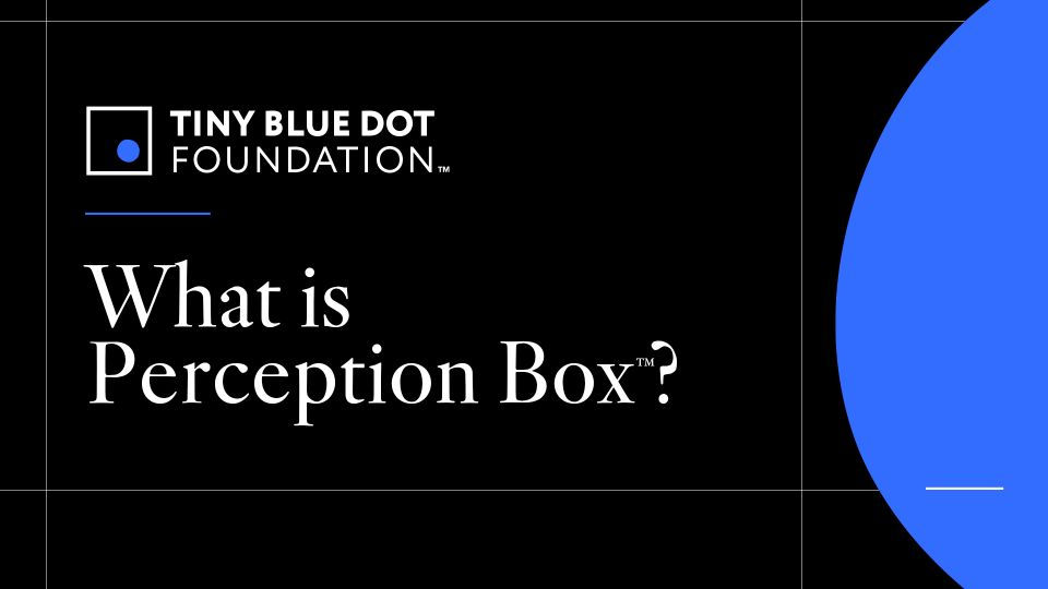 What is Perception Box?