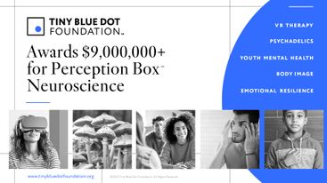 Tiny Blue Dot Foundation Funding Announcement