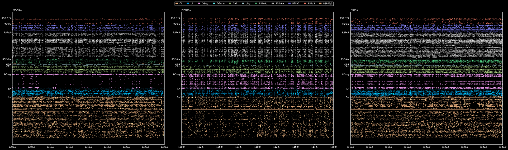 Figure 1. Identifying the critical changes at LOC and ROC using high density Neuropixels electrodes in mice. The figure shows the activity of neurons in cortex, hippocampus, and thalamus (top to bottom) during 20-sec of waking (left), NREM sleep (middle), and REM sleep (right). Each line represents a neuron, and each dot is one spike of that neuron. Tiny Blue Dot Foundation | Neuropixels electrodes