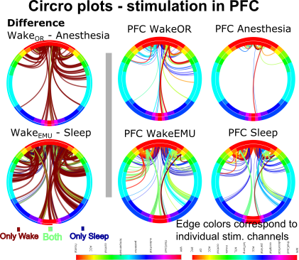 Tiny Blue Dot Foundation | Circo Plots Graphic