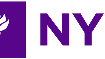 A boy smiles while climbing a large tree, surrounded by lush green leaves and dappled sunlight filtering through the branches.