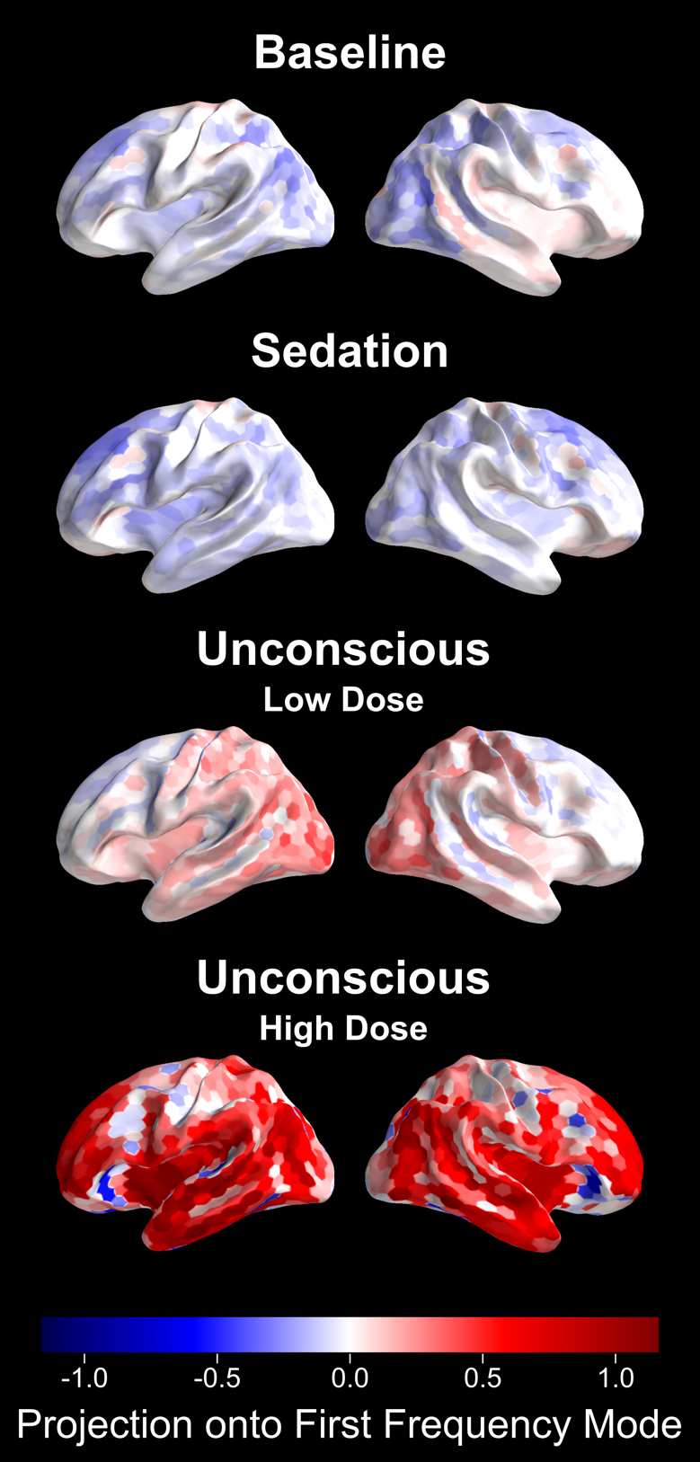 Tiny Blue Dot Foundation | Anesthesia Fig 1 graphic