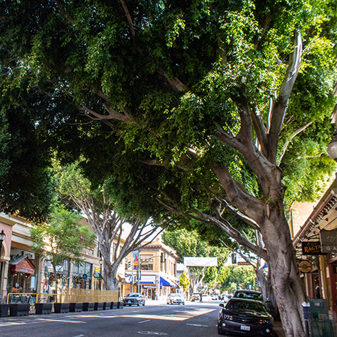 ParkMobile Now Live in the City of San Luis Obispo, California, Offering Convenient, Contactless Parking Payments 1