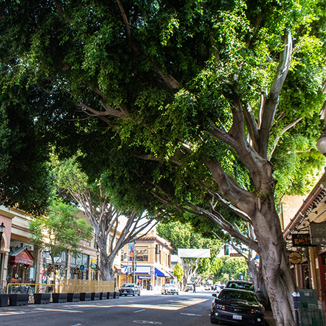 ParkMobile Now Live in the City of San Luis Obispo, California, Offering Convenient, Contactless Parking Payments 1