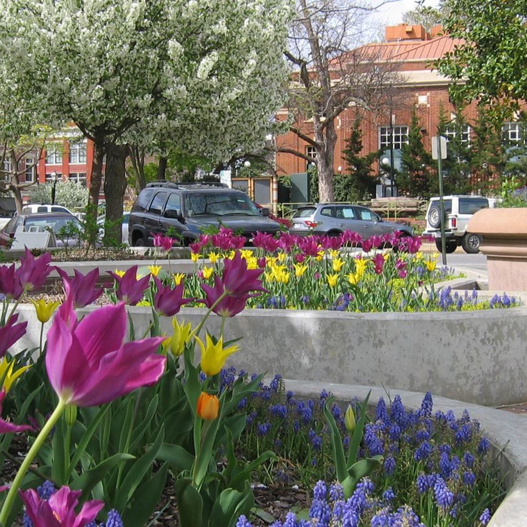 Fayetteville, Arkansas, Transitions all Parking Payments to ParkMobile’s Contactless Payment Solution 1