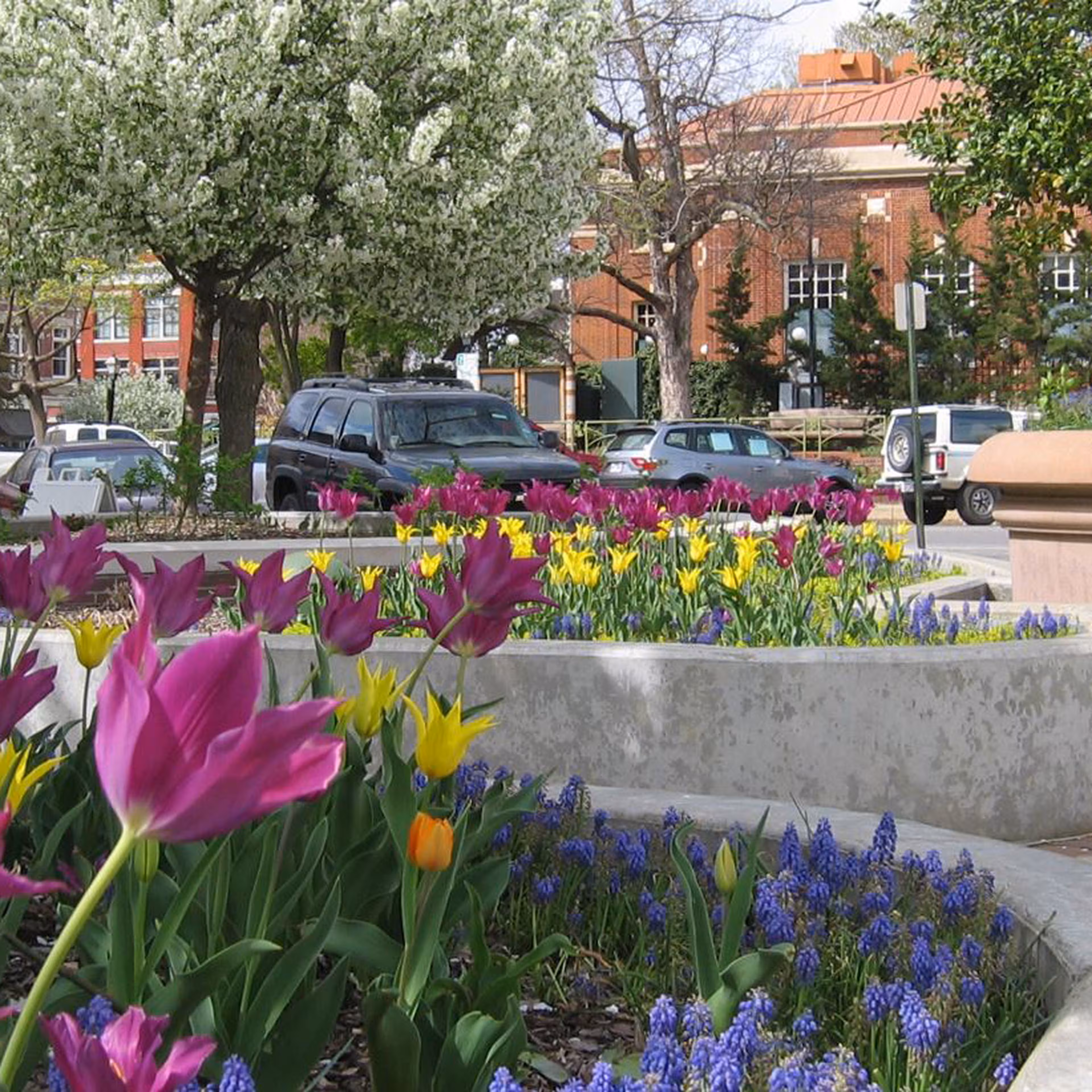 Fayetteville, Arkansas, Transitions all Parking Payments to ParkMobile’s Contactless Payment Solution 1