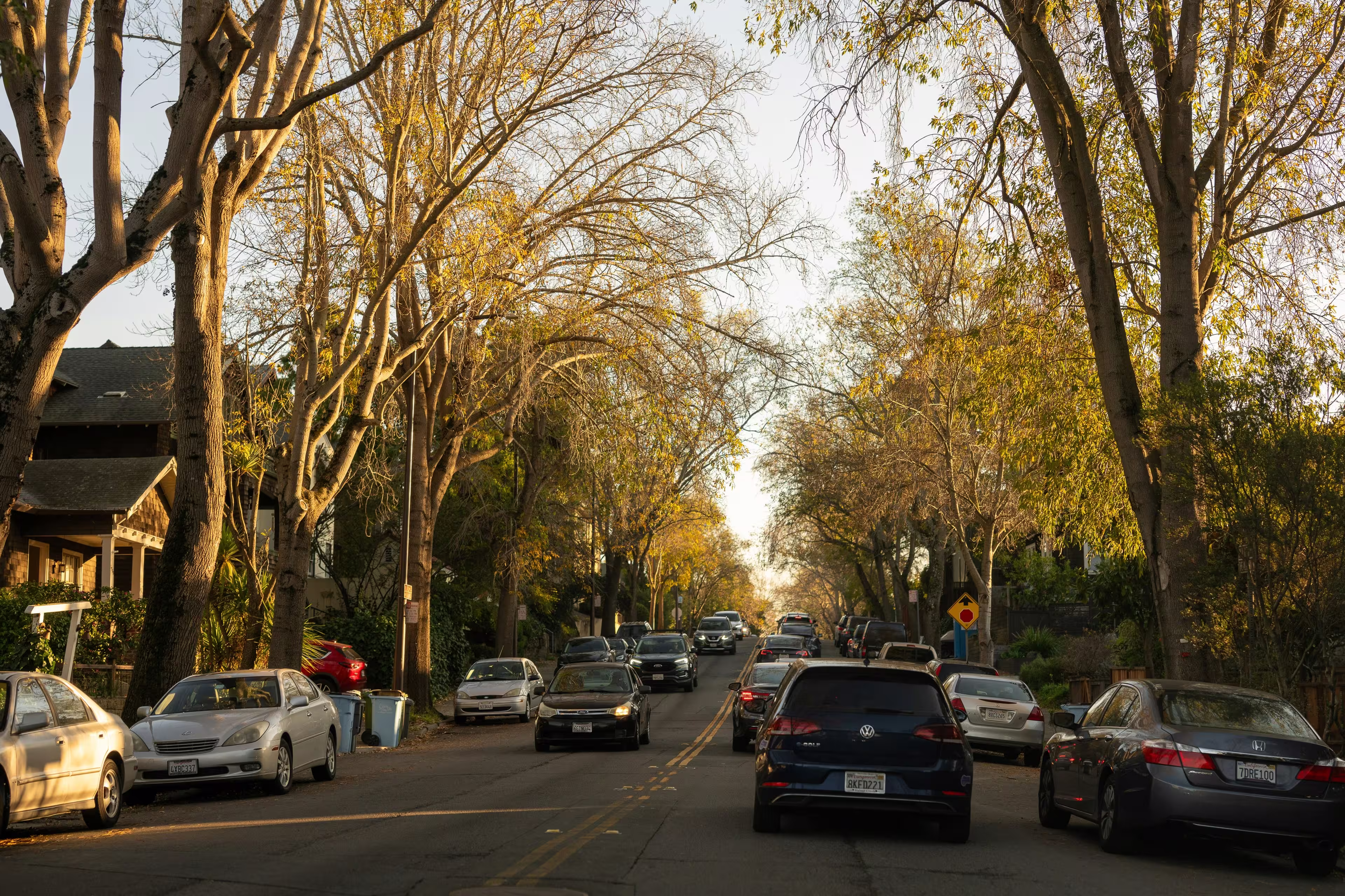 A tree-lined street in Berkeley with cars parked and driving, surrounded by houses and trees under.