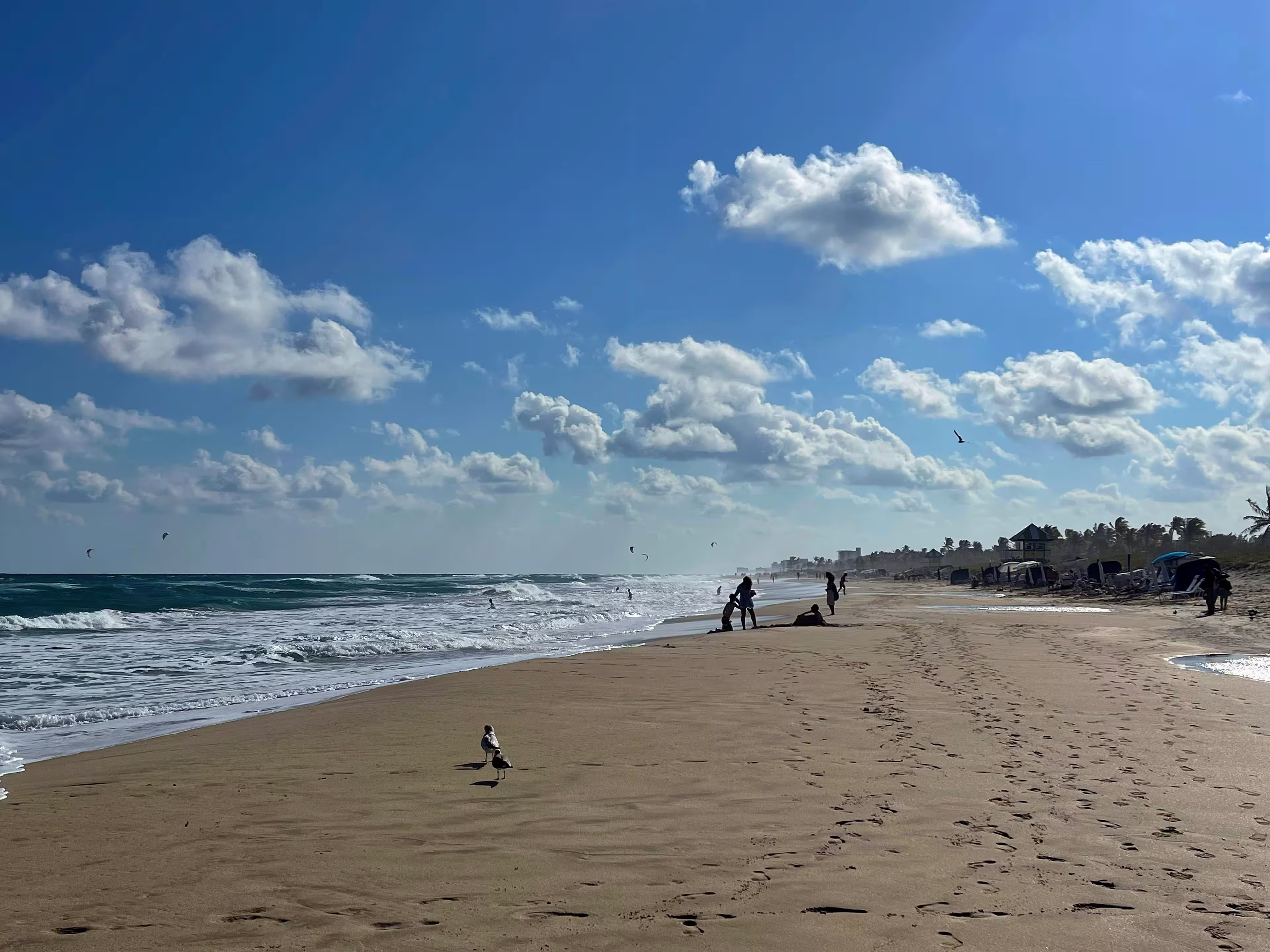 Delray Beach, Florida with people near the shoreline, waves, and a blue sky.