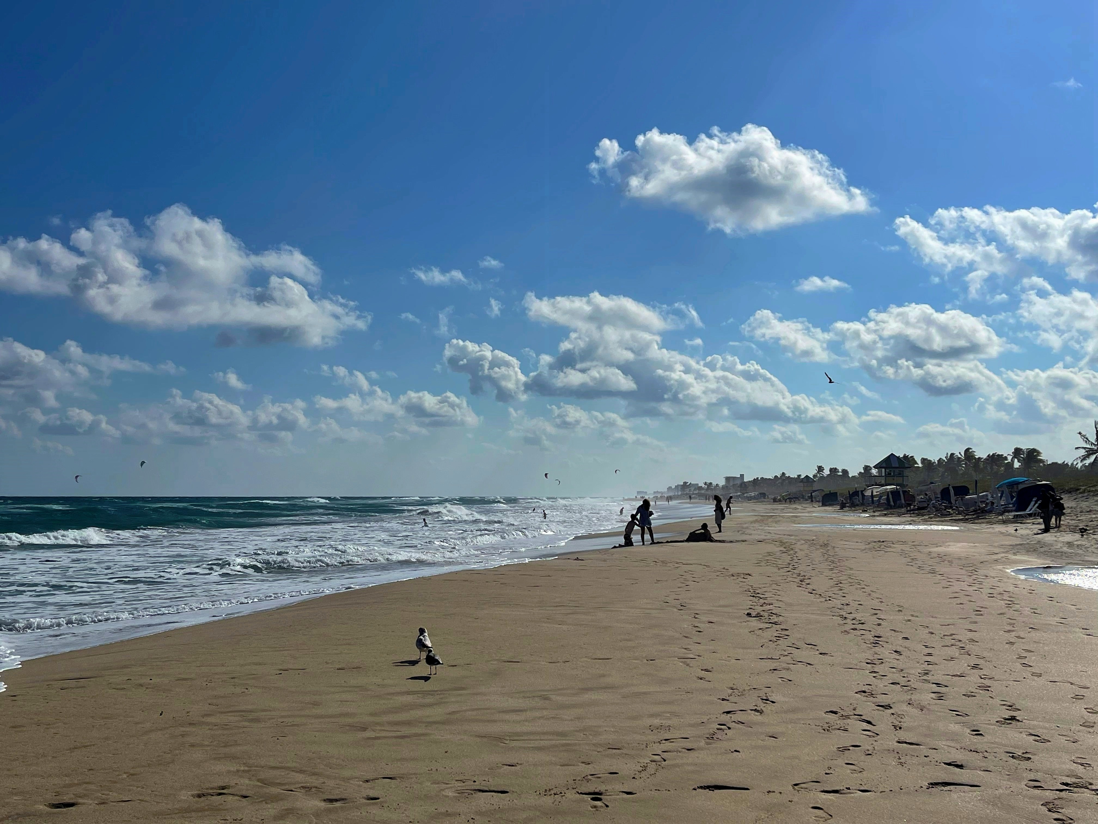 Delray Beach, Florida with people near the shoreline, waves, and a blue sky.