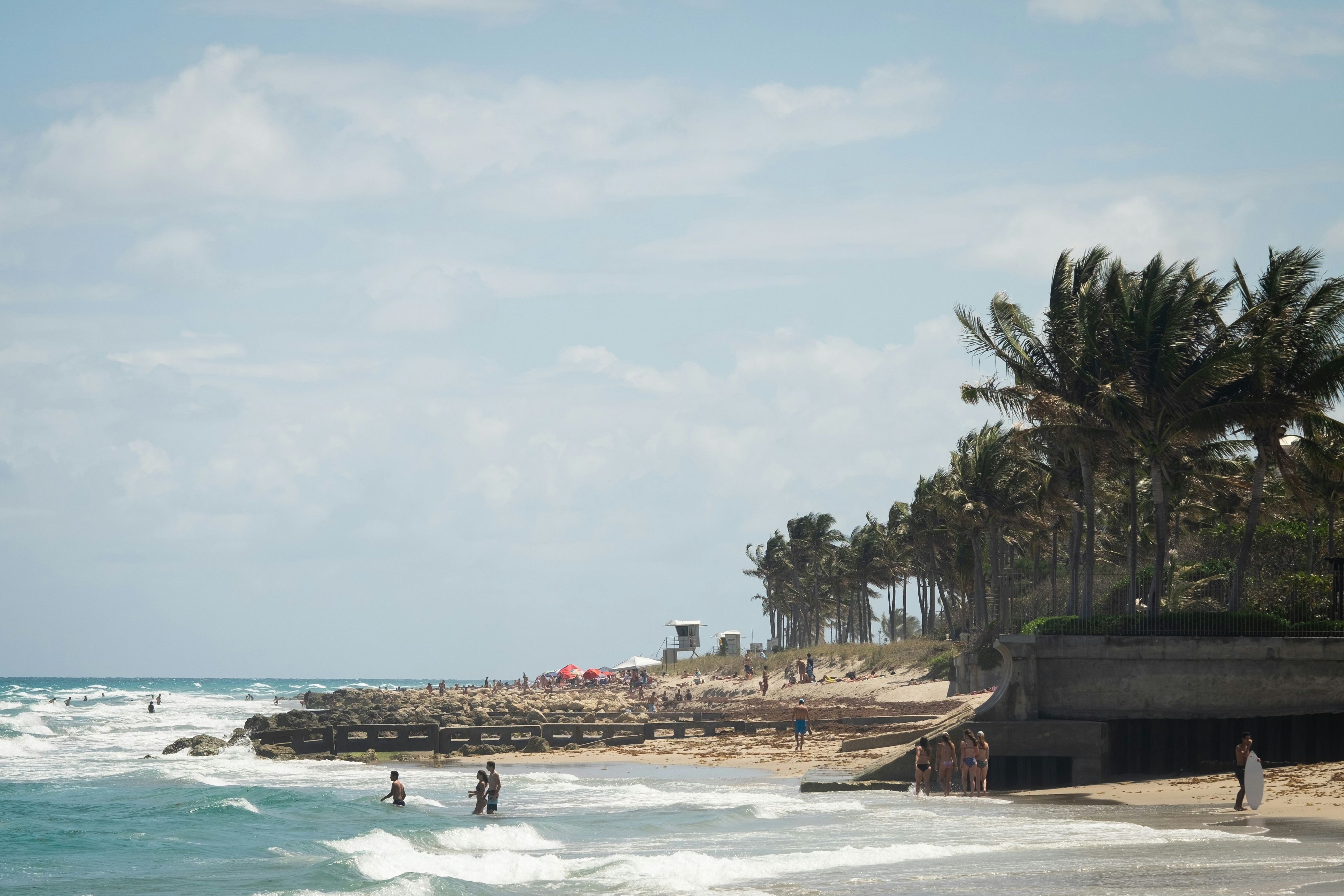 People enjoying the waves and palm-lined shore at Palm Beach, Florida, on a sunny day.