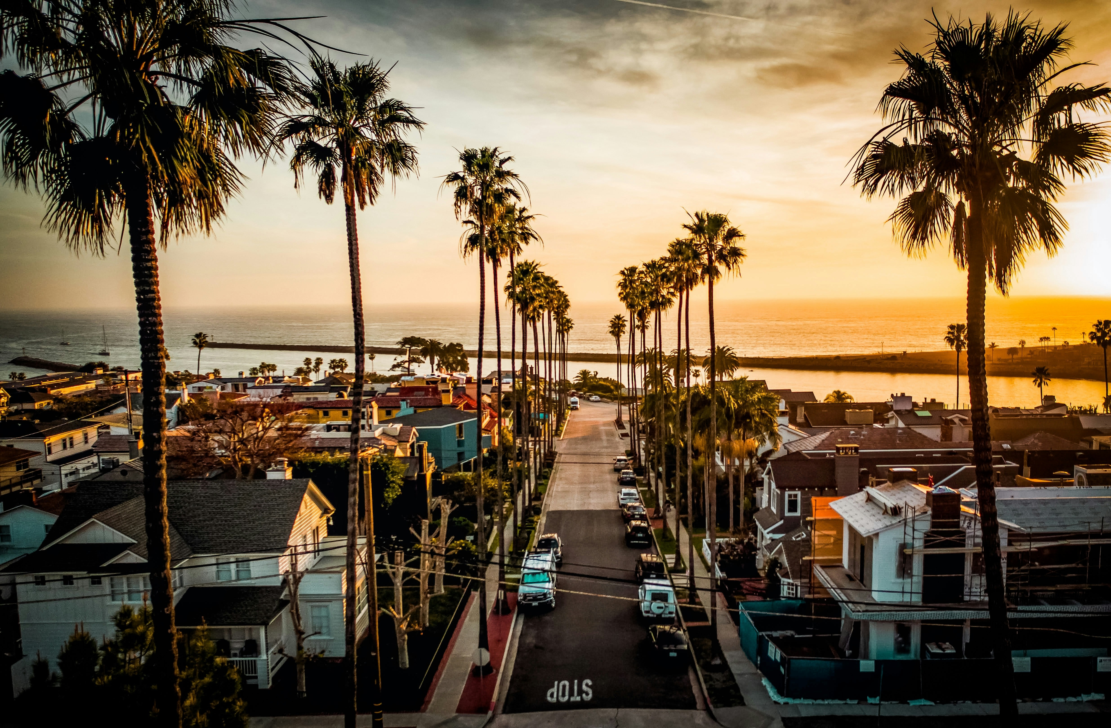 Street lined with palm trees leading to the ocean at sunset in Newport Beach, California.