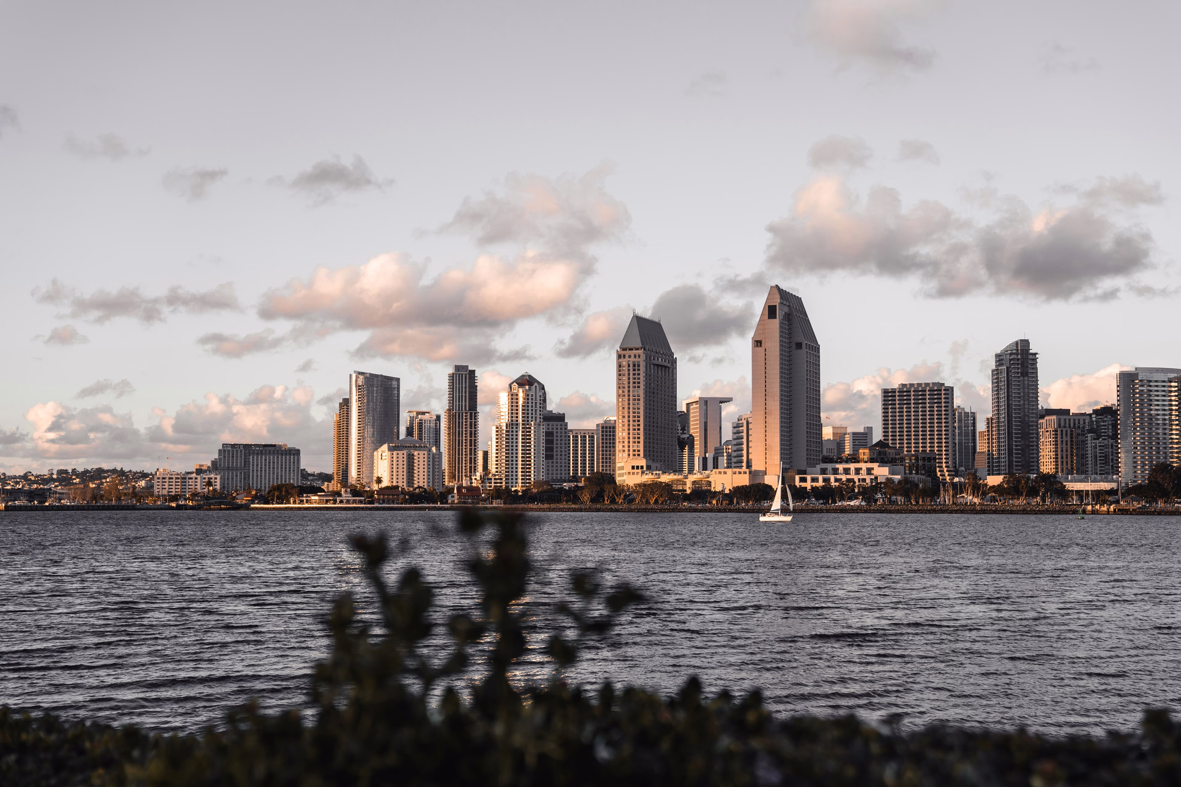 The San Diego skyline viewed from the ocean