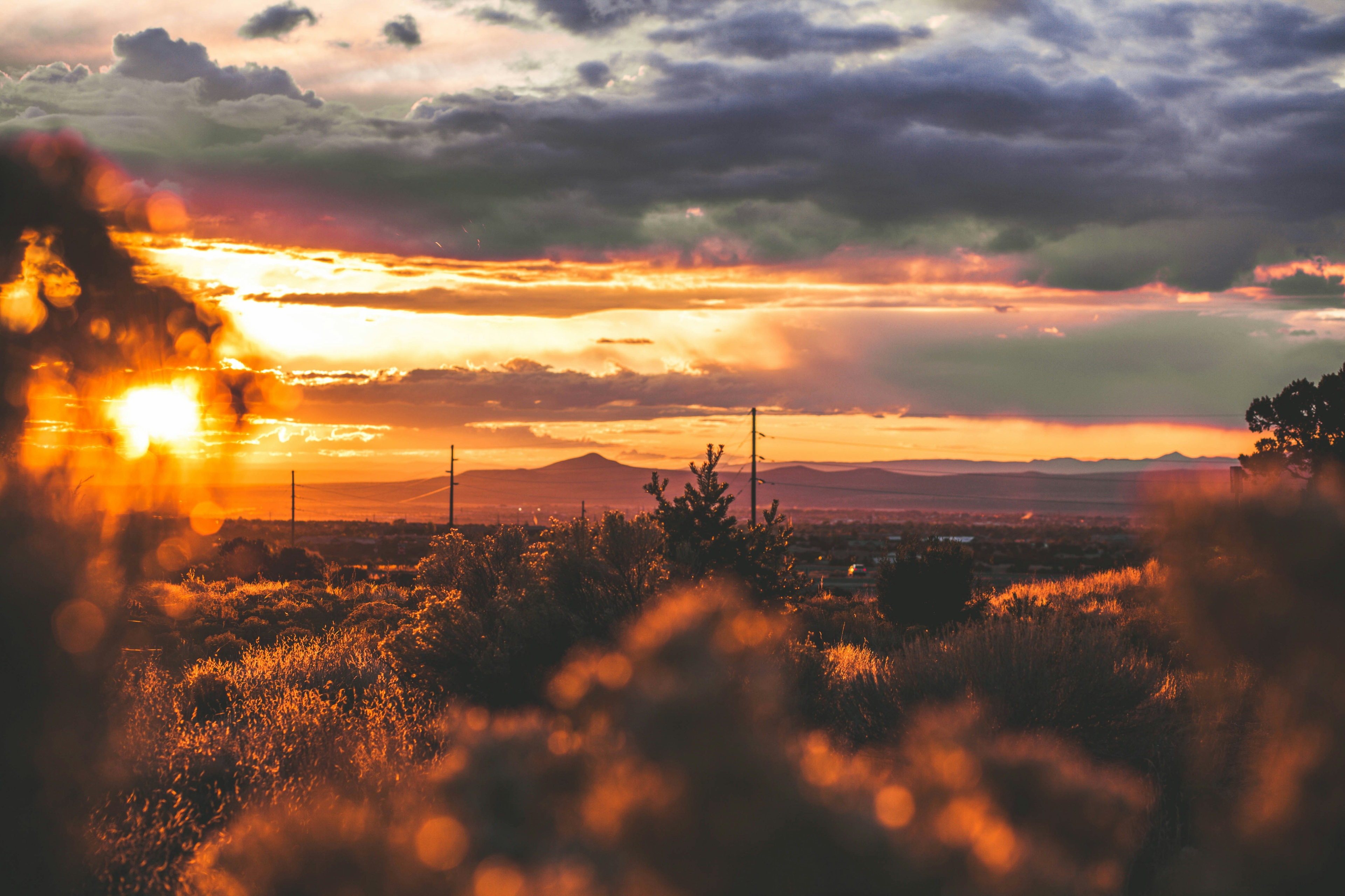 Sunset over Santa Fe with silhouetted mountains, and foreground foliage illuminated by the golden light.