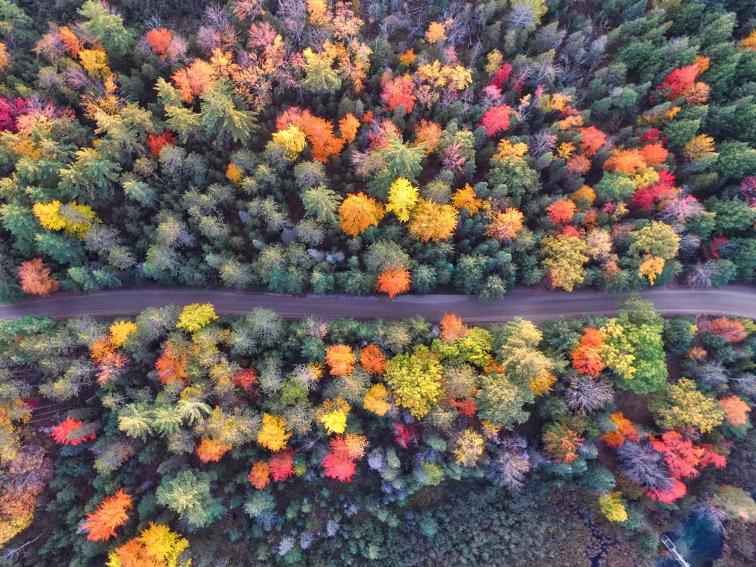 The Best Places to Watch the Leaves Change Color this Fall