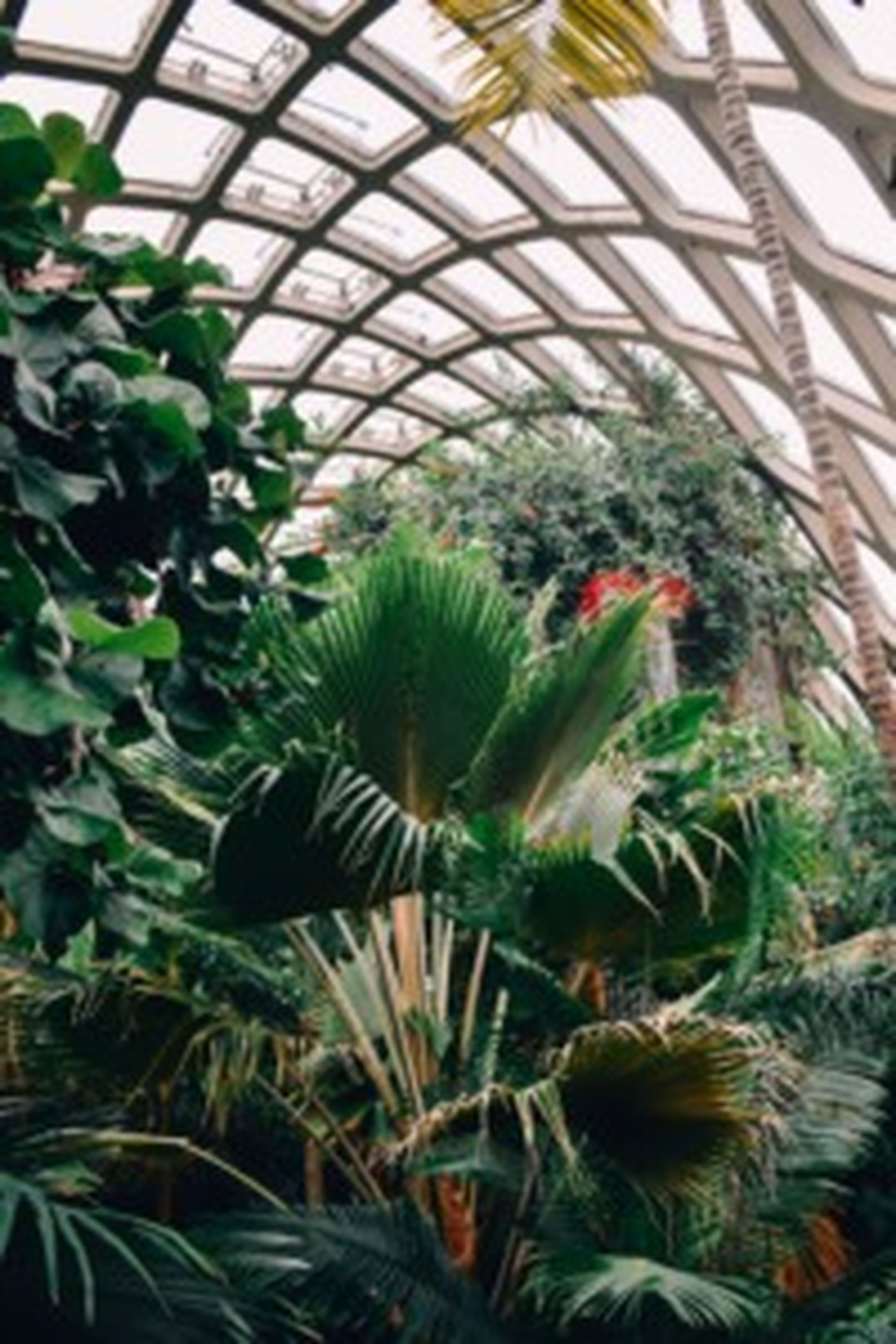 Explore the Oasis of the Denver Botanic Gardens