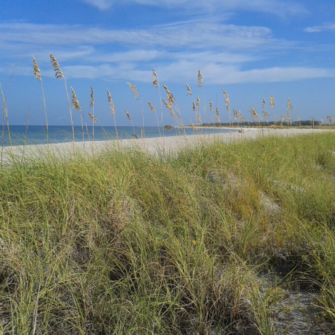 ParkMobile Strengthens Florida Presence with Pinellas County Partnership