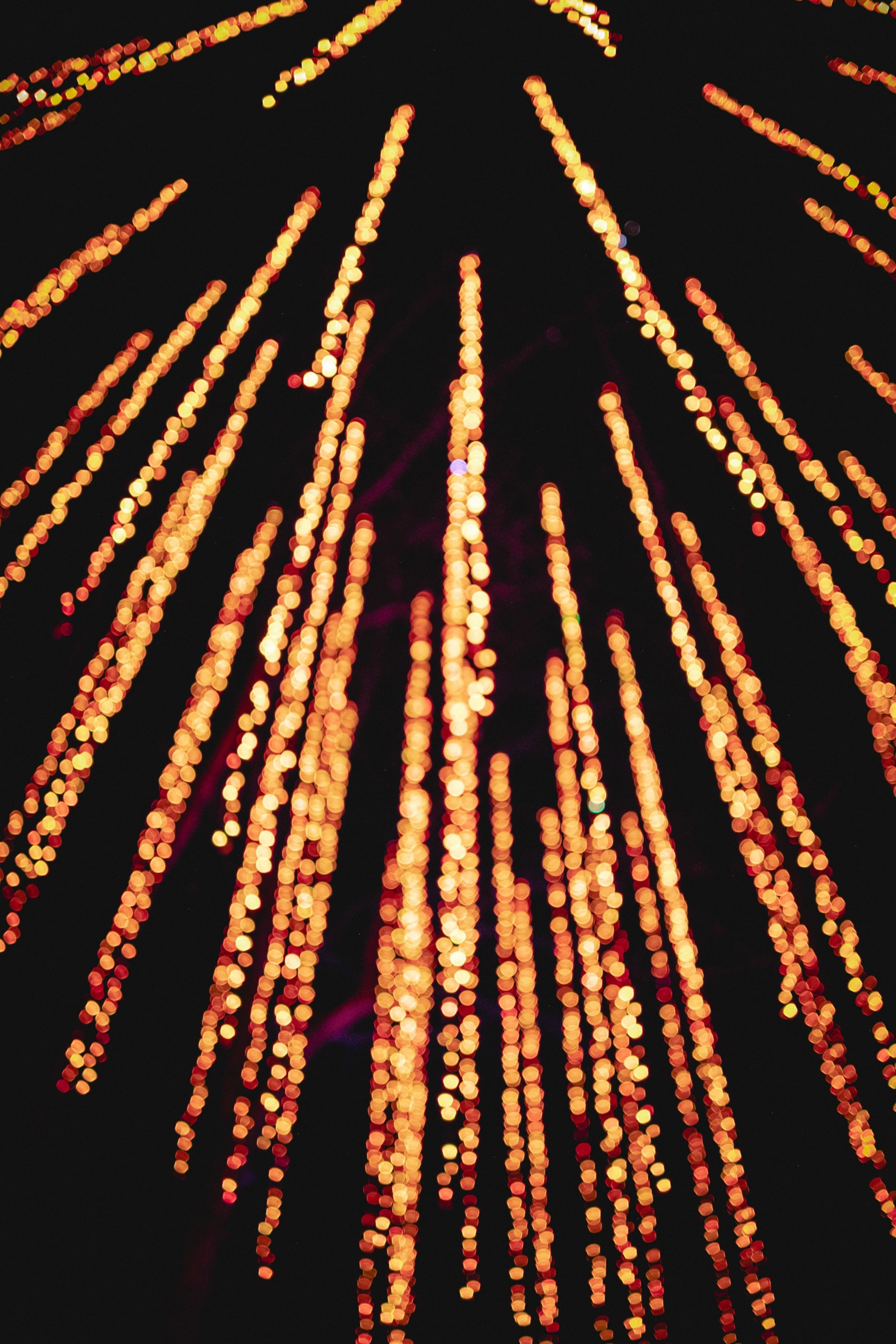 Walking in a Peach State Wonderland - Holiday Lights Across Georgia