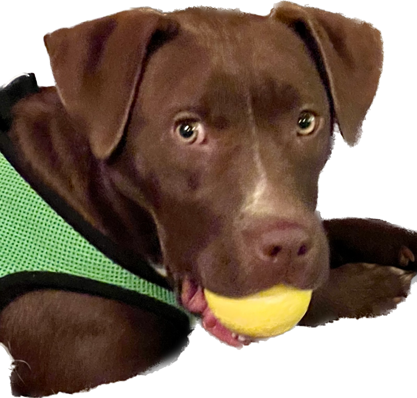 Roads less traveled with Barb & Pete: Spring 2023