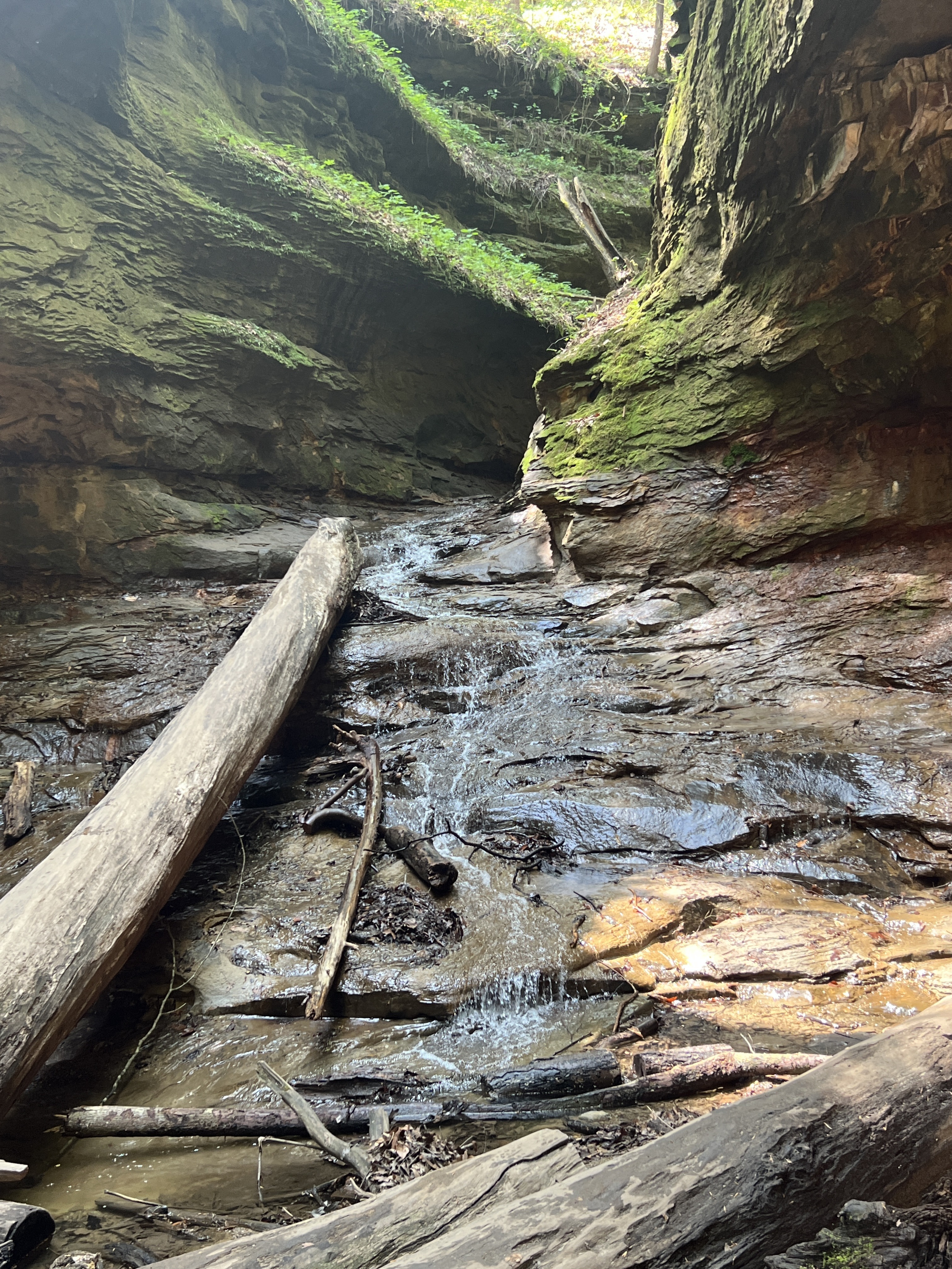 Roads less traveled with Barb & Pete: SPRING 2025