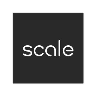 Scale Ai
