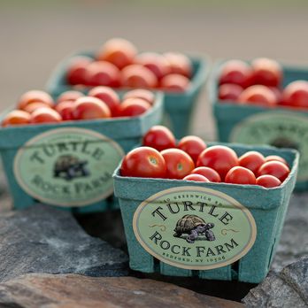 Four containers of cherry tomatoes picked fresh from at Turtle Rock Farm in Bedford New York
