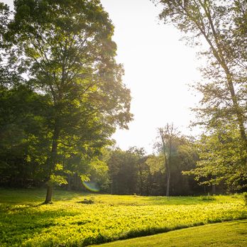 A view from the road near Turtle Rock Farm in Bedford New York