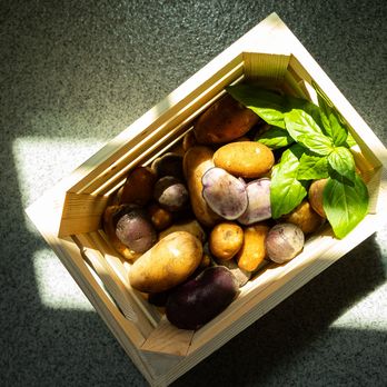 Fresh Picked Potatoes and Basil in a crate from Turtle Rock Farm in Bedford New York