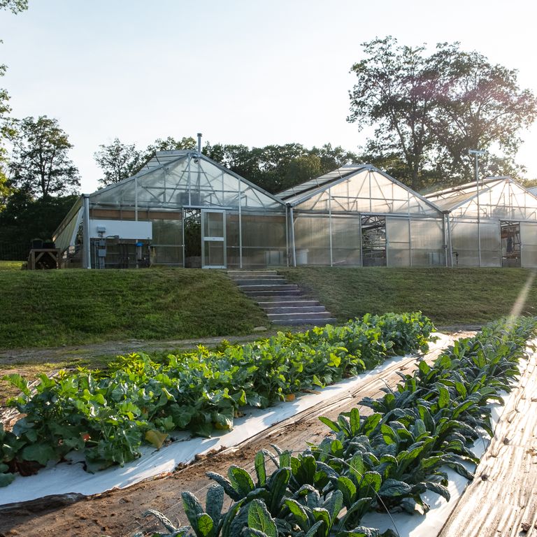 Farm Location - Turtle Rock Farm NY