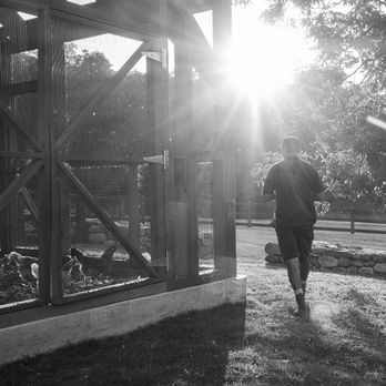 Chicken Coop at Turtle Rock Farm in Bedford New York