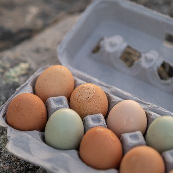Farm-Fresh Eggs from Turtle Rock Farm in Bedford New York
