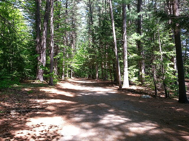 A walking trail in Mine Falls Park is an example of one of the best things to do in Nashua, NH