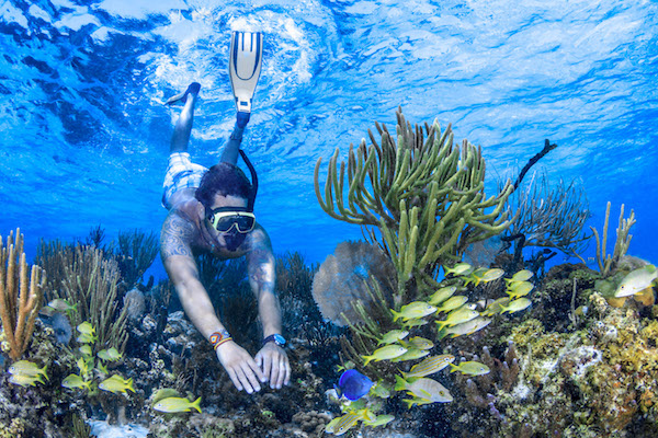 All-Inclusive Isla Mujeres Snorkeling Tour from Cancún (2025)